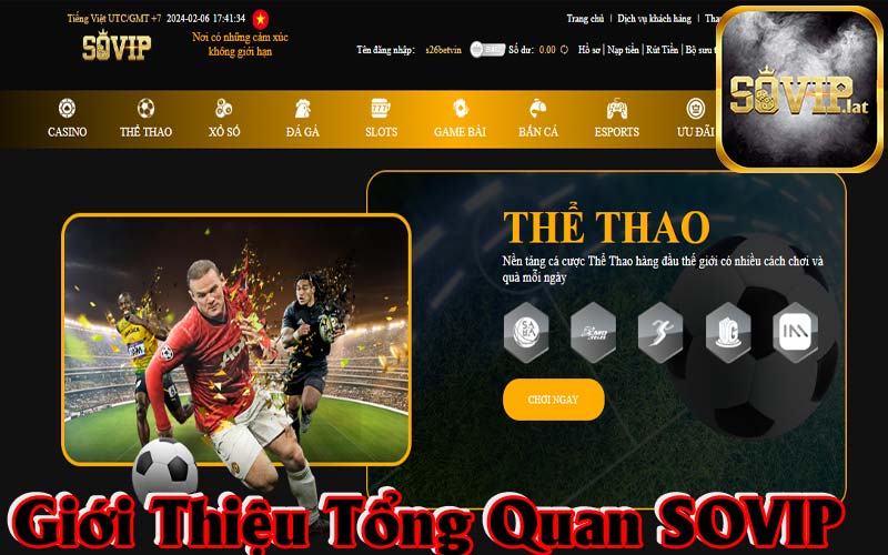 Giới thiệu tổng quan